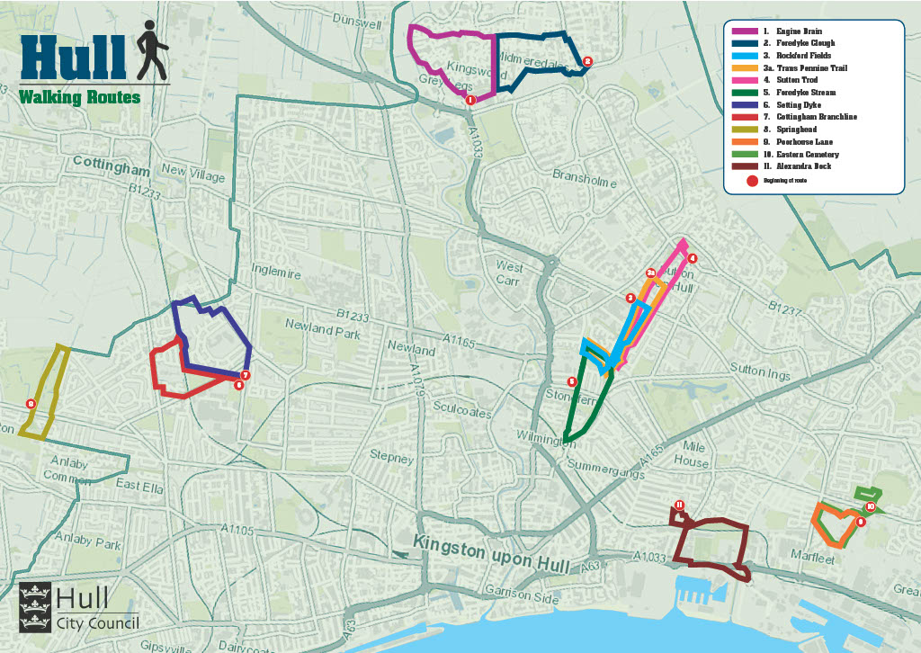 Hull walking routes map